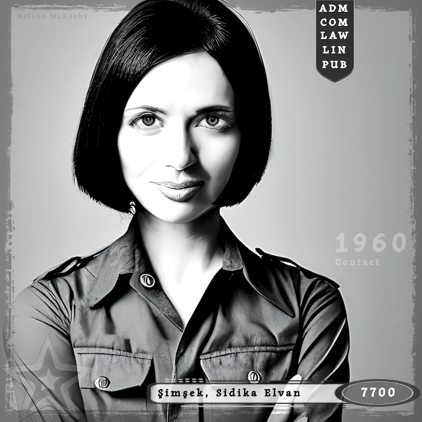 7700-Simsek-SE-1960