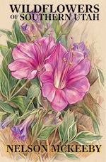 Wildflowers of Southern Utah