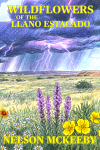 Wildflowers of the Llano Estacado