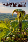 Wildflowers of the Berkshires